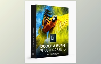Download Dodge and Burn Lightroom Brush Presets by <span class='badge badge-warning'>Kelvin</span> Pimont
