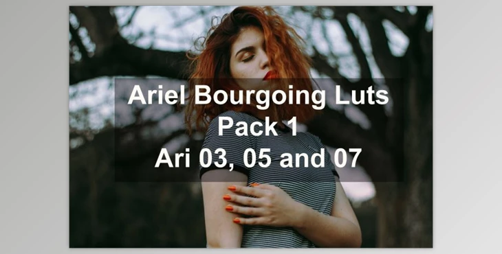 Download Ariel Bourgoing Luts Pack By Bourgoing Presets (cube)