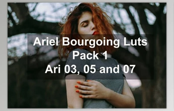 Download Ariel Bourgoing <span class='badge badge-warning'>Luts</span> Pack By Bourgoing Presets (cube)