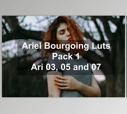 Download Ariel Bourgoing Luts Pack By Bourgoing Presets (cube)