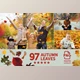Download 97 Autumn Leaves Photo Overlays By PhotoEffects.Store