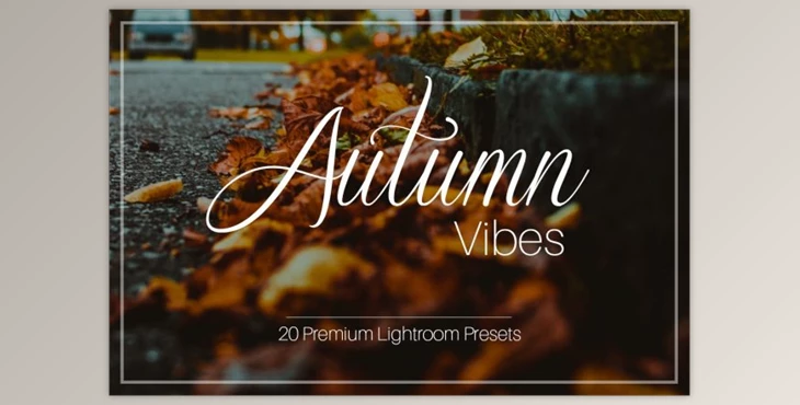 Download Autumn Vibes – Lightroom Presets By ELITE ARTISTS