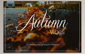 Download Autumn <span class='badge badge-warning'>Vibes</span> – Lightroom Presets By ELITE ARTISTS