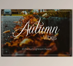 Download Autumn Vibes – Lightroom Presets By ELITE ARTISTS