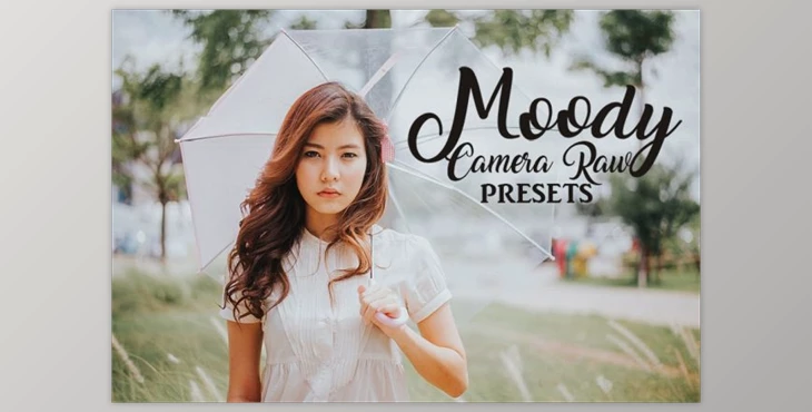 Download Camera Raw Preset Collection By italida ColorShop (XMP, JPG)