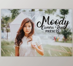 Download Camera Raw Preset Collection By italida ColorShop (XMP, JPG)