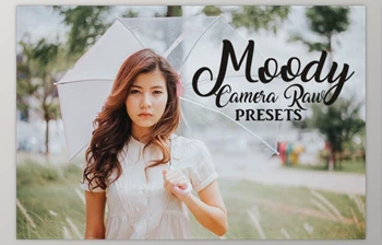 Download Camera Raw Preset Collection By italida ColorShop (<span class='badge badge-warning'>XMP</span>, JPG)