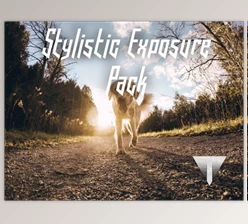 Download Tonacious Stylistic Exposure Pack By Tonacious
