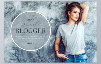 Download Best Lightroom Presets for <span class='badge badge-warning'>Bloggers</span> CreativeMarket 2139915