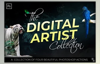 Download The Digital Art Collection By Dene Studios