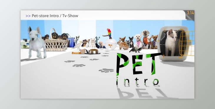 Download Pet Store Intro - Tv Show (Videohive 1952833) - AE Project