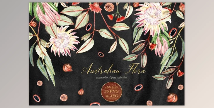 Download Australian Flora. Watercolor clipart By LABFcreations (PNG, JPG)
