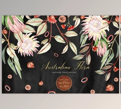 Download Australian Flora. Watercolor clipart By LABFcreations (PNG, JPG)