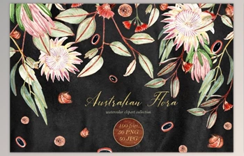 Download Australian Flora. Watercolor clipart By LABFcreations (<span class='badge badge-warning'>PNG</span>, <span class='badge badge-warning'>JPG</span>)