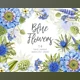 Download Blue Watercolor Floral Clipart PNG By Mary