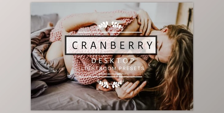 Download Desktop Lightroom Presets CRANBERRY By Victoria Bee Presets