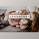 Download Desktop Lightroom Presets CRANBERRY By Victoria Bee Presets