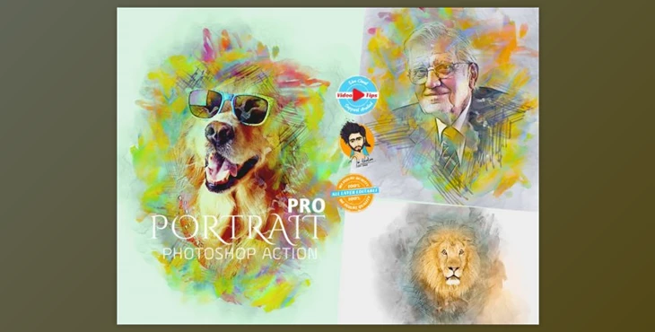 Download Pro Action By MRI STUDIO