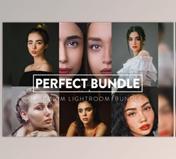 Download 60 Perfect Bundle Lightroom Presets CreativeMarket-6145446 (XMP, DNG)