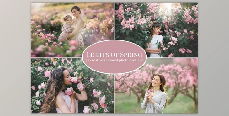 Download Lights  - AE Projectof Spring photo overlays CreativeMarket-5879066 (JPG)