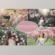 Download Lights of Spring photo overlays CreativeMarket-5879066 (JPG)