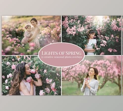 Download Lights of Spring photo overlays CreativeMarket-5879066 (JPG)