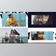 Download Modern Fashion Opener (Videohive 32459800) - AE Project