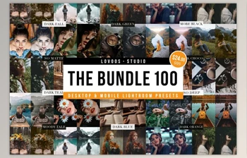 Download THE BUNDLE 100 – Lightroom Presets CreativeMarket-6133635 (DNG, Irtemplate, <span class='badge badge-warning'>XMP</span>)