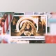 Download Christmas Slideshow (Videohive 29653472) - AE Project