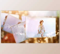 Download Bright Wedding (Videohive 32964437) - AE Project