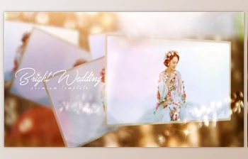 Download Bright <span class='badge badge-warning'>Wedding</span> (Videohive 32964437) - AE Project