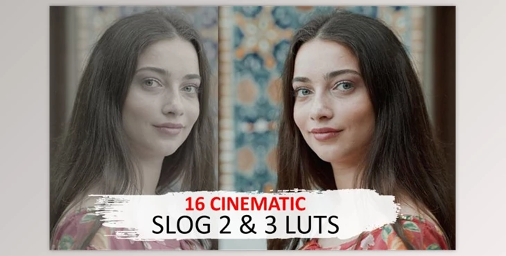 Download Cinematic Luts (Slog2 & Slog3) By GeorgeKhelashvili