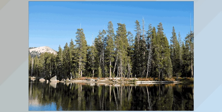Download VSCO Labs Infrared (XMP)