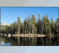 Download VSCO Labs Infrared (XMP)
