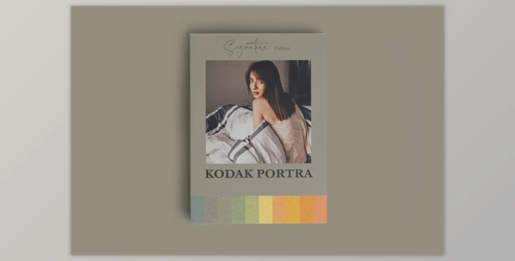 Download Kodak Portra Inspired Mobile Lr By Fltrr Lightroom Presets