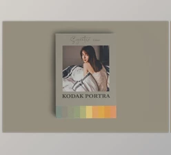 Download Kodak Portra Inspired Mobile Lr By Fltrr Lightroom Presets