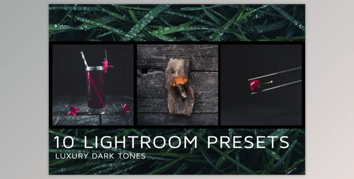 Download 10 Dark tones presets for Lightroom By Elijah