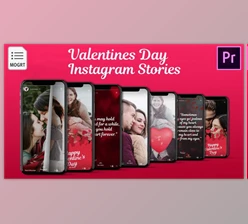 Download Love - Instagram Stories for Premiere Pro (Videohive 32544779)