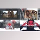Download Fashion Minimal Opener (Videohive 32620102) - AE Project