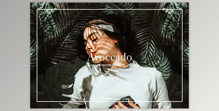 Download Avoccado Lightroom Presets By Colorscorrection