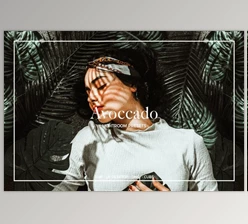 Download Avoccado Lightroom Presets By Colorscorrection