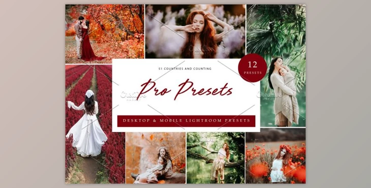 Download 12x Lightroom Presets, Pro Presets By Kzara Visual Concepts (Mob, Desk)