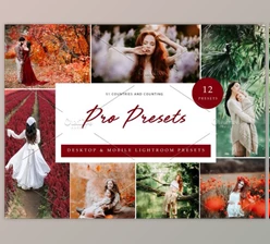 Download 12x Lightroom Presets, Pro Presets By Kzara Visual Concepts (Mob, Desk)