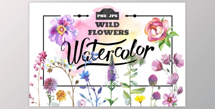 Download Wild Flowers watercolor PNG set By WatercolorPNG.com (PNG, JPG)