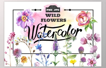 Download Wild Flowers watercolor PNG set By WatercolorPNG.com (PNG, <span class='badge badge-warning'>JPG</span>)