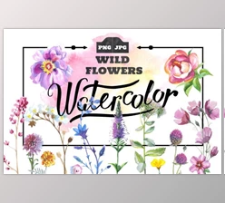Download Wild Flowers watercolor PNG set By WatercolorPNG.com (PNG, JPG)