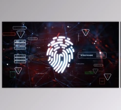 Download Wireframe (Videohive 23243262) - AE Project