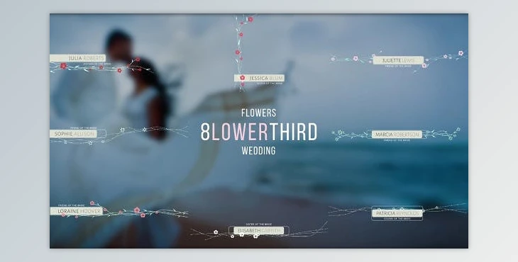Download Wedding Titles Lower Third (Videohive 17946384) - AE Project