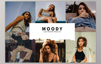 Download 10 Moody Lightroom Presets 5857394 – Fitra <span class='badge badge-warning'>Anas</span>