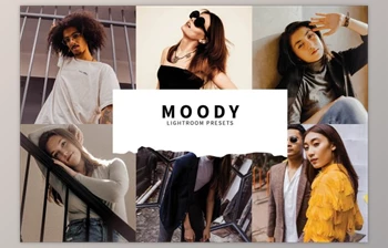 Download 10 Moody Lightroom Presets By Fitra <span class='badge badge-warning'>Anas</span>